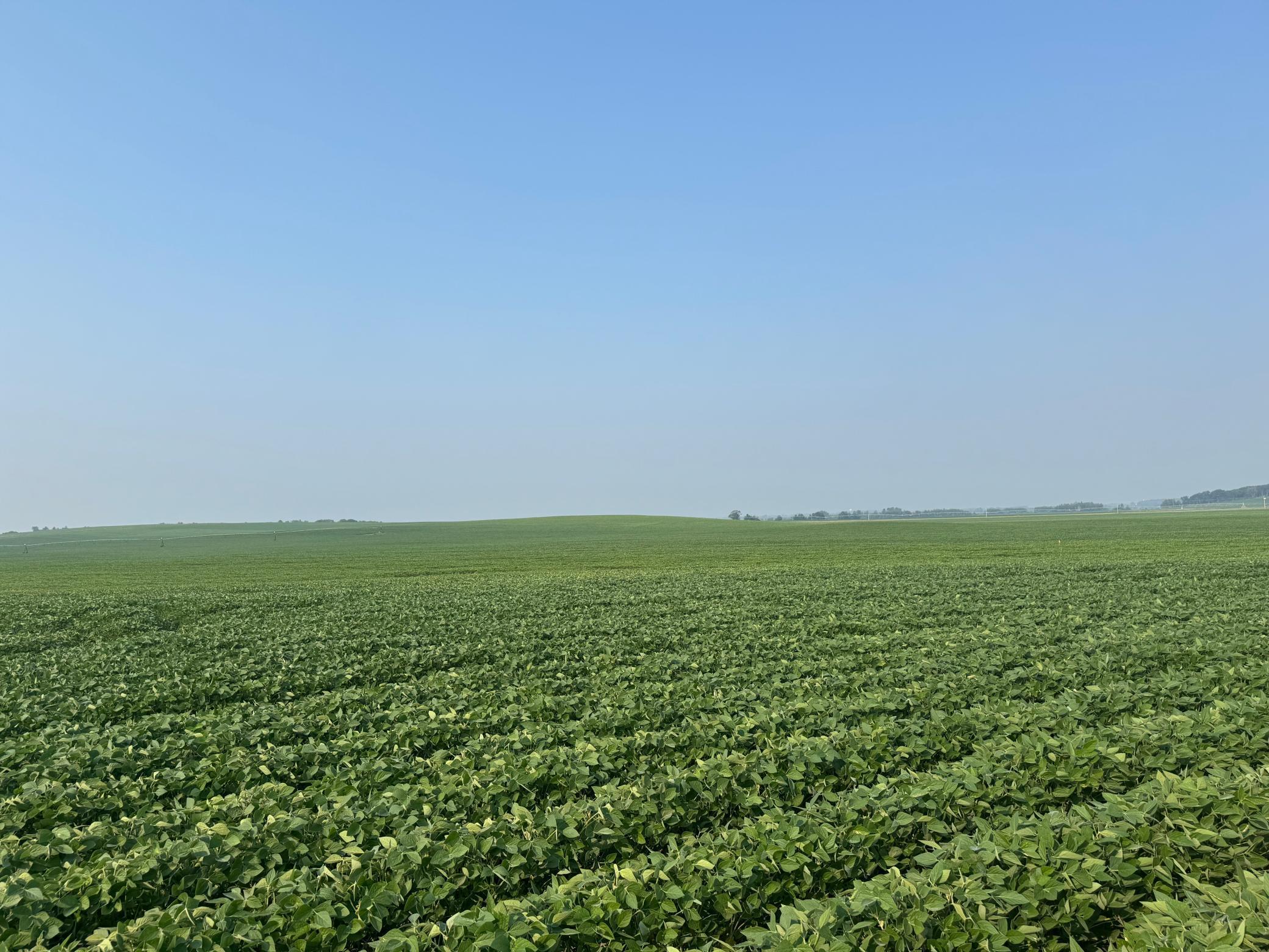 0 County 61 Browerville, MN 56438 - Photo 10 of 59