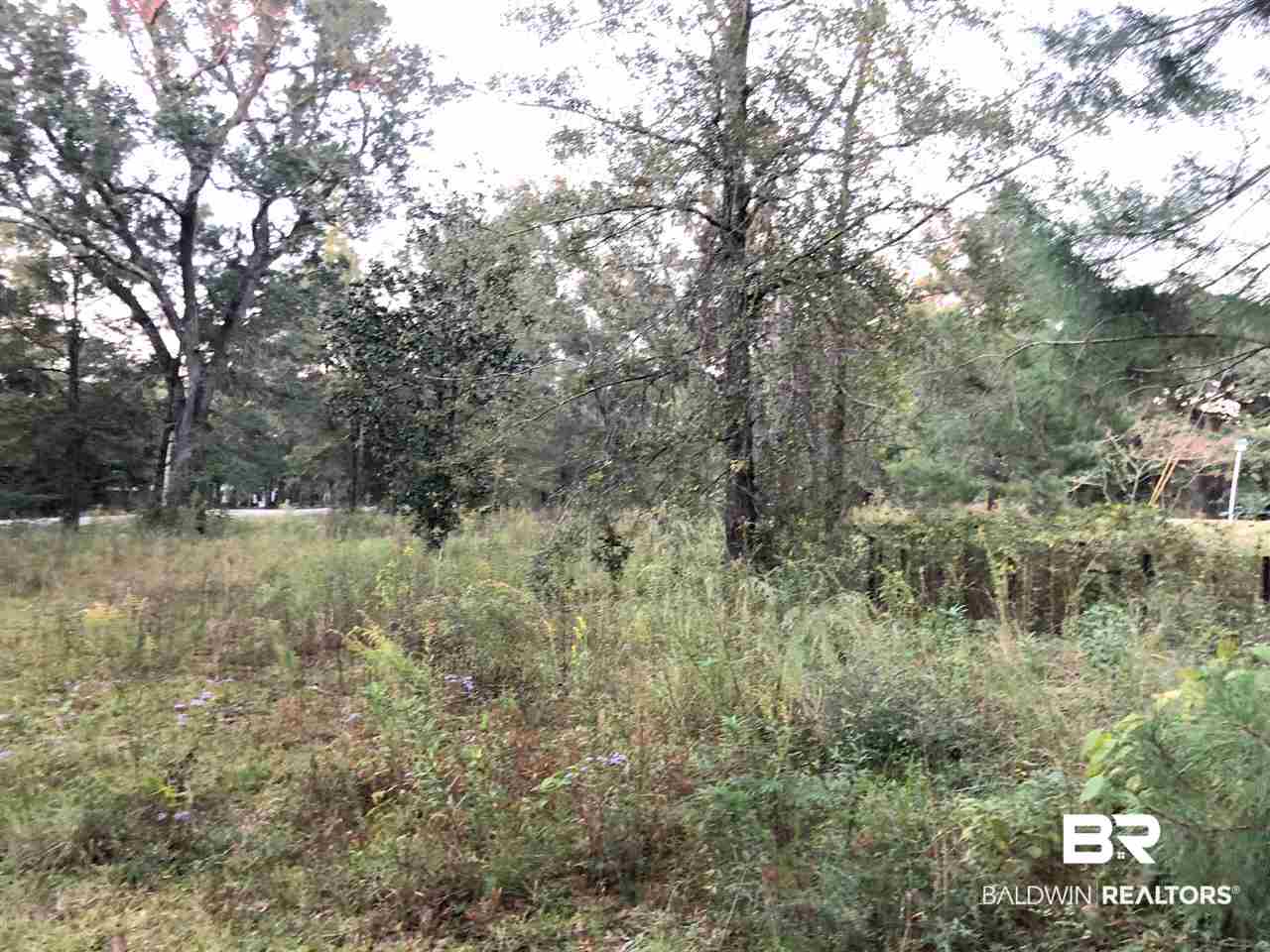 38041 Magnolia Church Road Bay Minette, AL 36507 - Photo 8 of 8 Acreage View