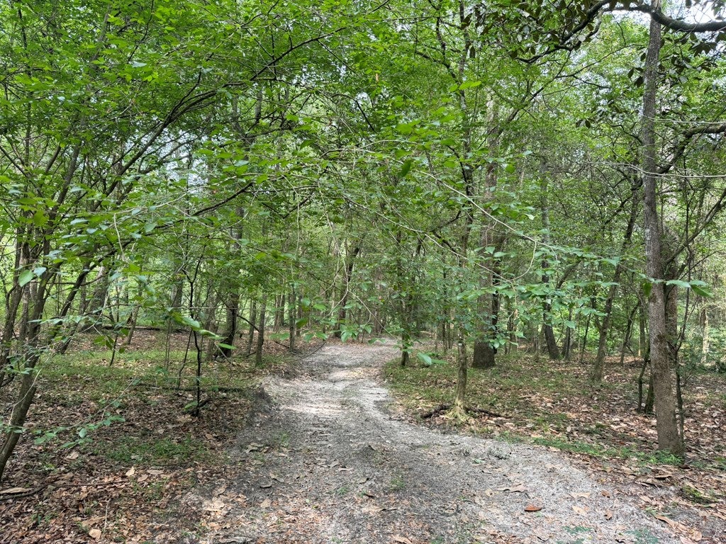 4574 Hadley Ferry Road Cairo, GA 39828 - Photo 16 of 51 Trails
