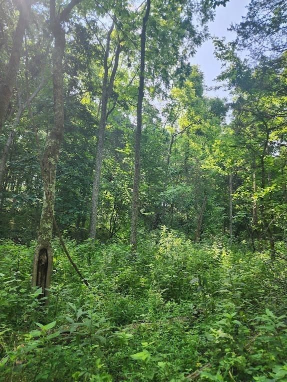 0 Barker Road Vevay, IN 47043 - Photo 17 of 33