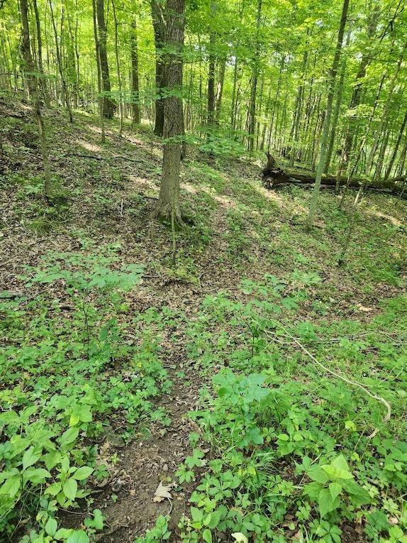 0 Barker Road Vevay, IN 47043 - Photo 22 of 33