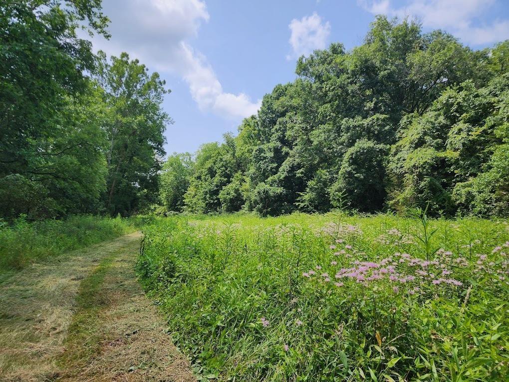 0 Barker Road Vevay, IN 47043 - Photo 28 of 33