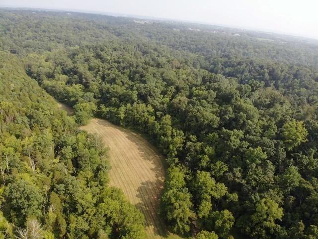 0 Barker Road Vevay, IN 47043 - Photo 3 of 33