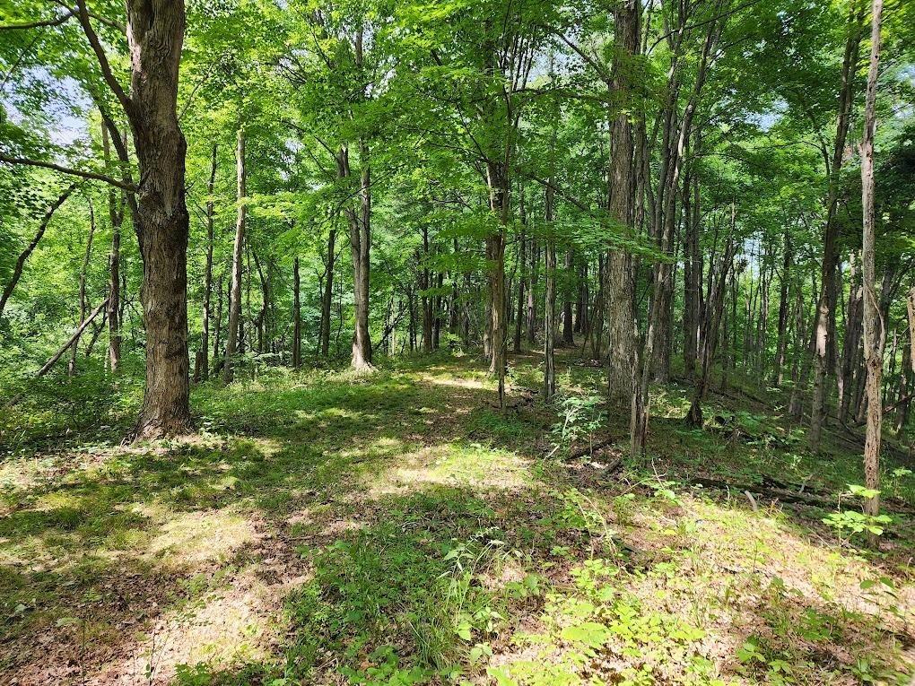 0 Barker Road Vevay, IN 47043 - Photo 31 of 33