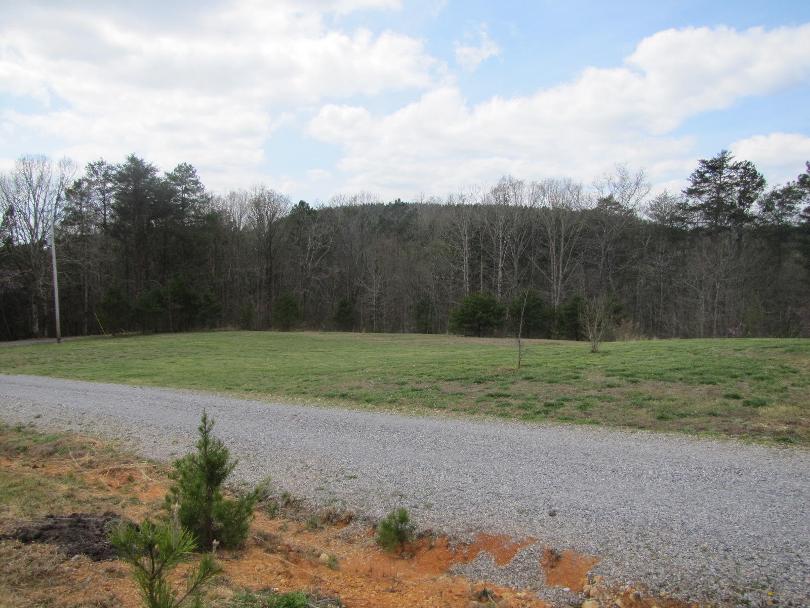 205 Columbus Road Delano, TN 37325 - Photo 19 of 40 Gallery Image 19