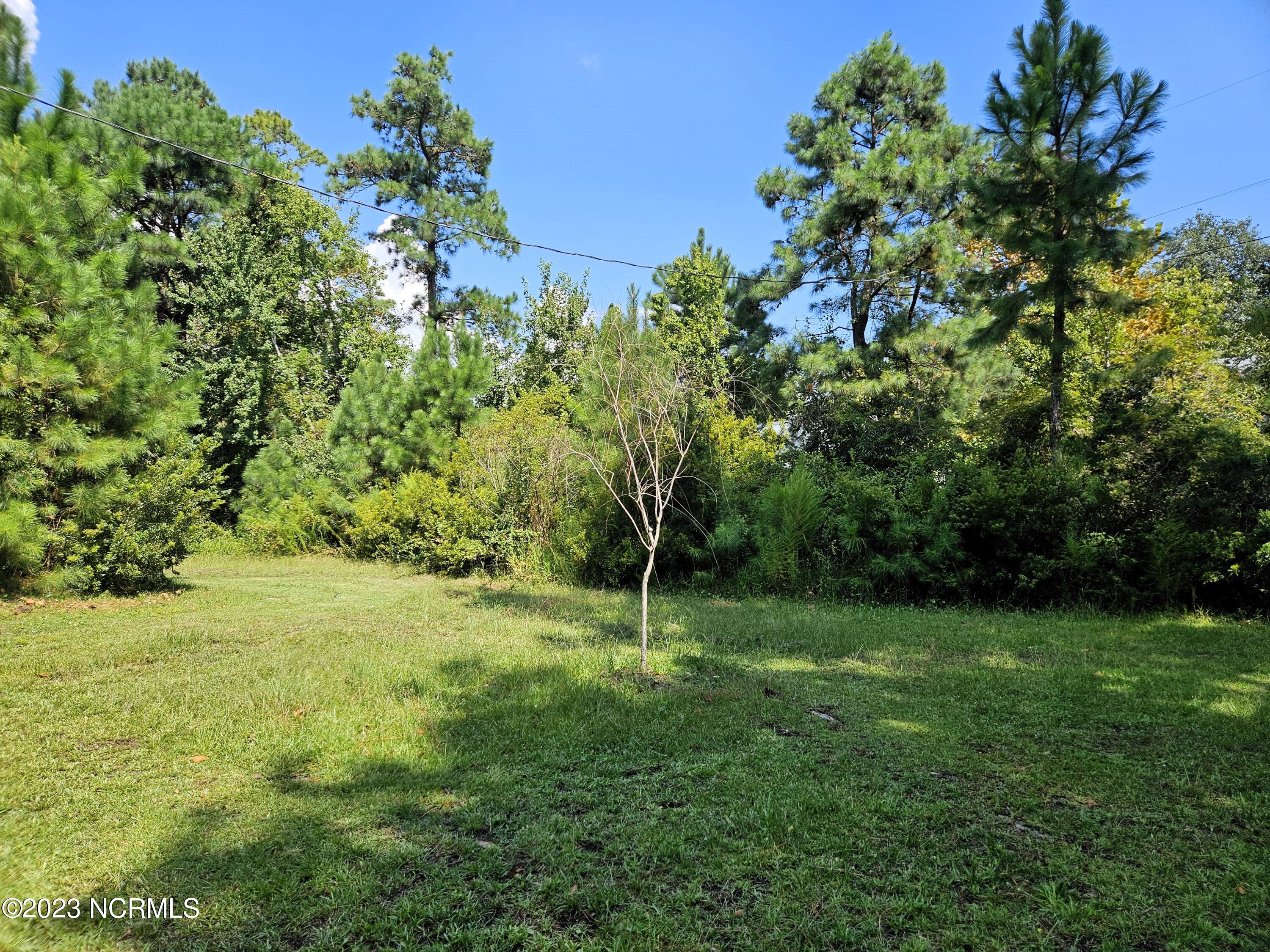 161 Lee Daniels Road Atlantic, NC 28511 - Photo 9 of 32 Side yard