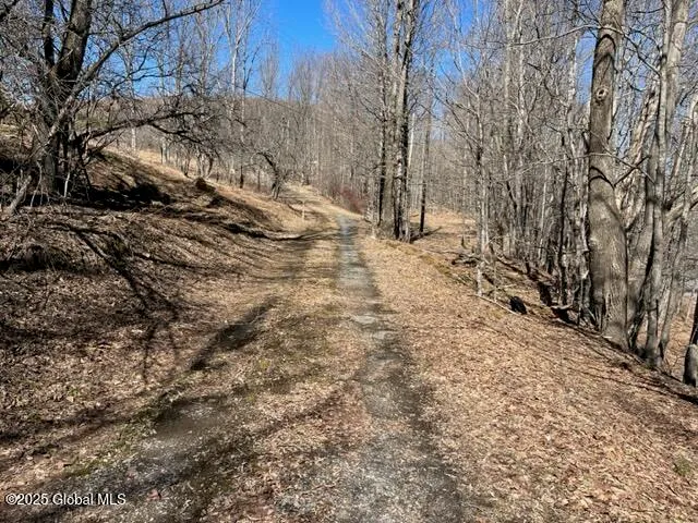 $37,000 | L1.13 Rossman Fly Road, Richmondville, NY 12149