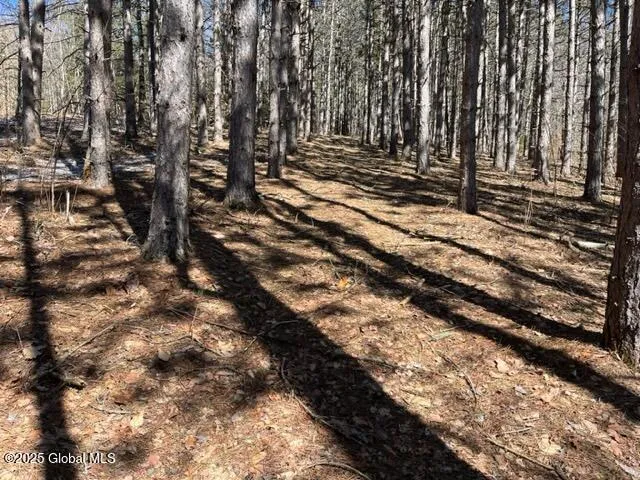 $37,000 | L1.13 Rossman Fly Road, Richmondville, NY 12149