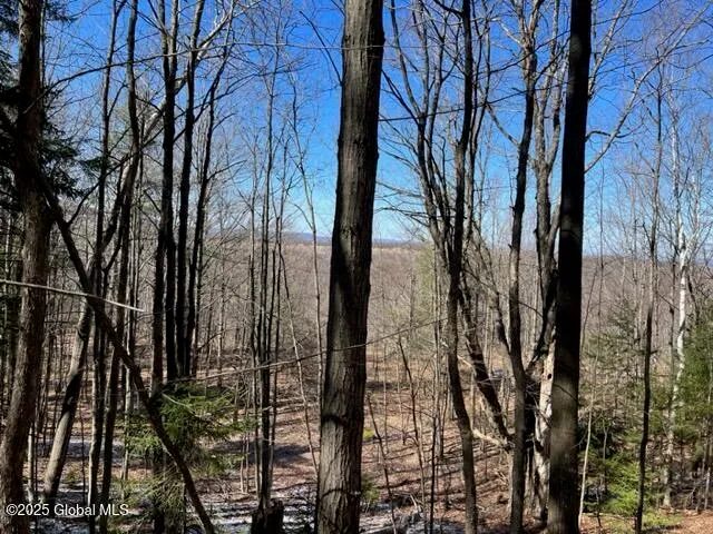 $37,000 | L1.13 Rossman Fly Road, Richmondville, NY 12149