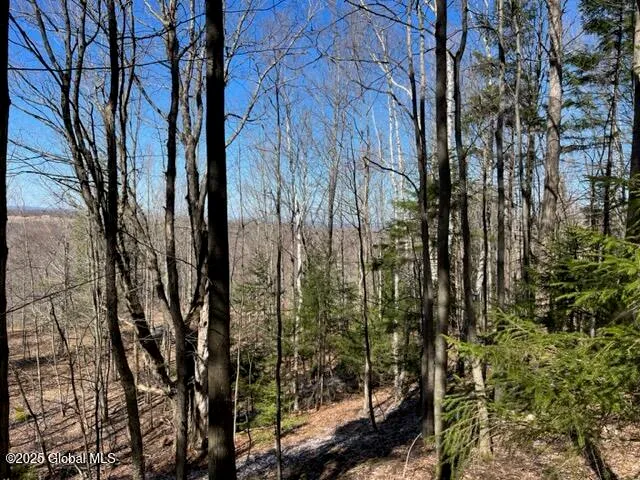 $37,000 | L1.13 Rossman Fly Road, Richmondville, NY 12149