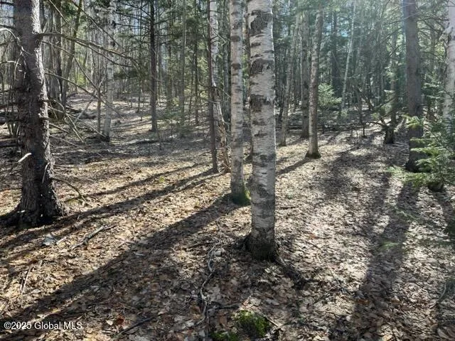 $37,000 | L1.13 Rossman Fly Road, Richmondville, NY 12149