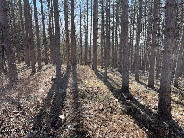 $37,000 | L1.13 Rossman Fly Road, Richmondville, NY 12149