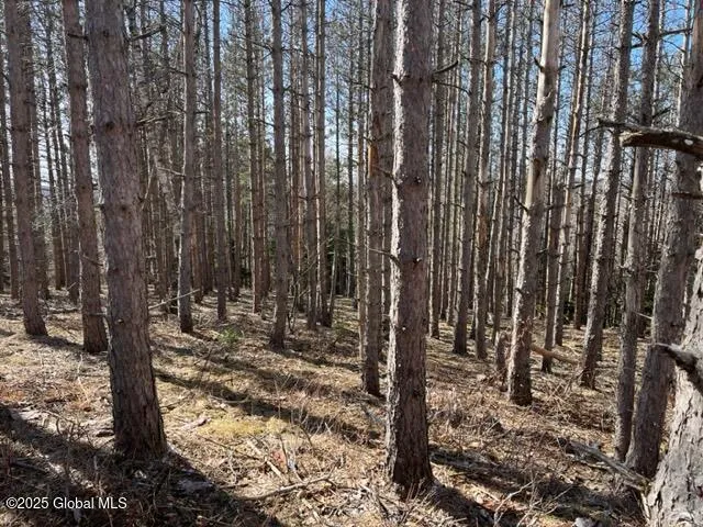 $37,000 | L1.13 Rossman Fly Road, Richmondville, NY 12149