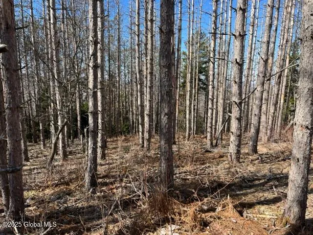 $37,000 | L1.13 Rossman Fly Road, Richmondville, NY 12149