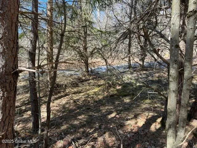 $37,000 | L1.13 Rossman Fly Road, Richmondville, NY 12149