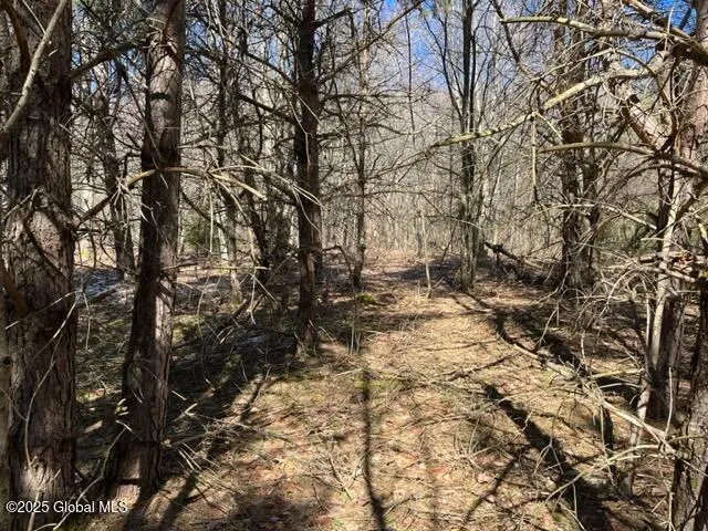 $37,000 | L1.13 Rossman Fly Road, Richmondville, NY 12149