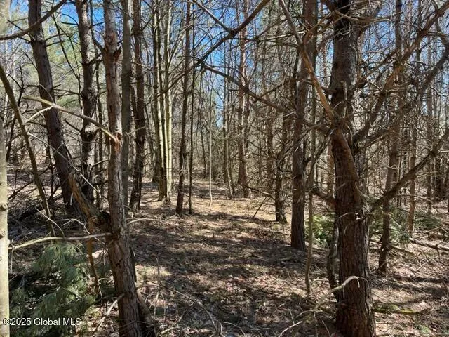 $37,000 | L1.13 Rossman Fly Road, Richmondville, NY 12149