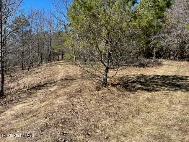 $37,000 | L1.13 Rossman Fly Road, Richmondville, NY 12149