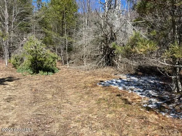 $37,000 | L1.13 Rossman Fly Road, Richmondville, NY 12149