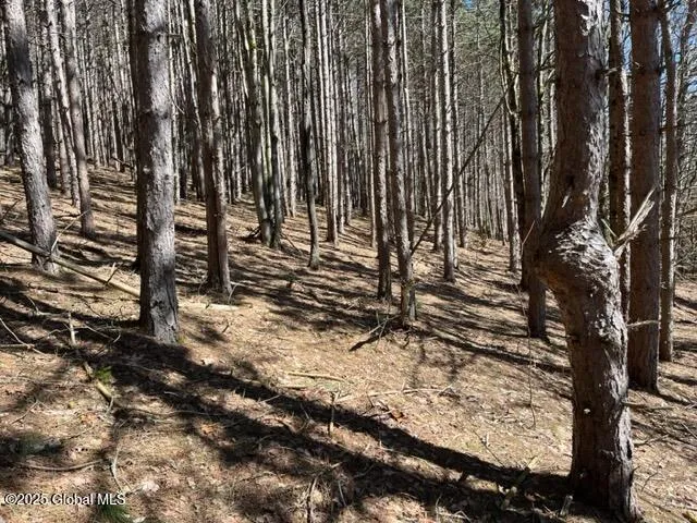 $37,000 | L1.13 Rossman Fly Road, Richmondville, NY 12149