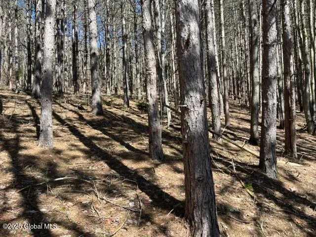 $37,000 | L1.13 Rossman Fly Road, Richmondville, NY 12149