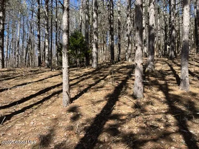 $37,000 | L1.13 Rossman Fly Road, Richmondville, NY 12149