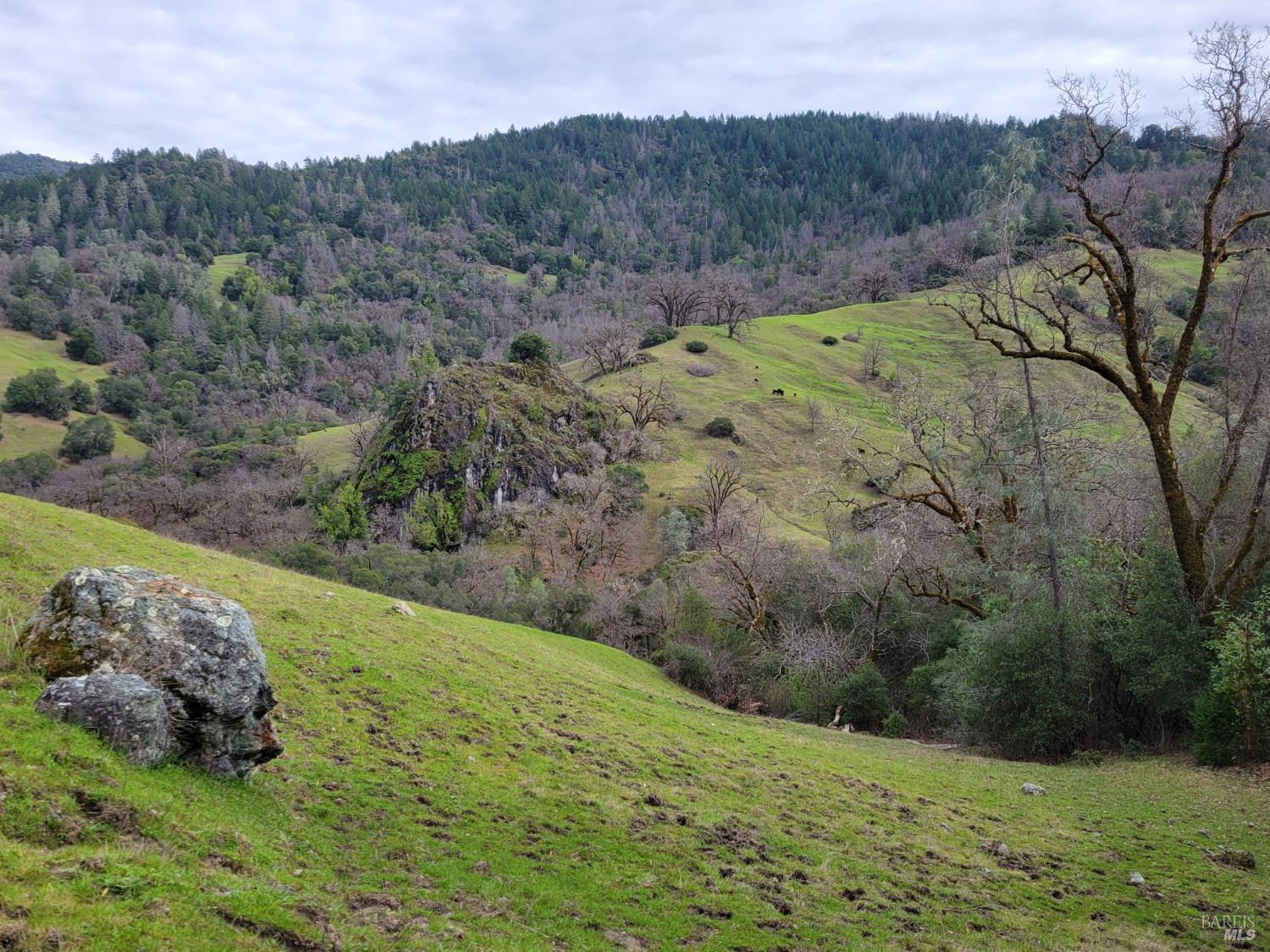 0 Covelo Road Willits, CA 95490 - Photo 11 of 40