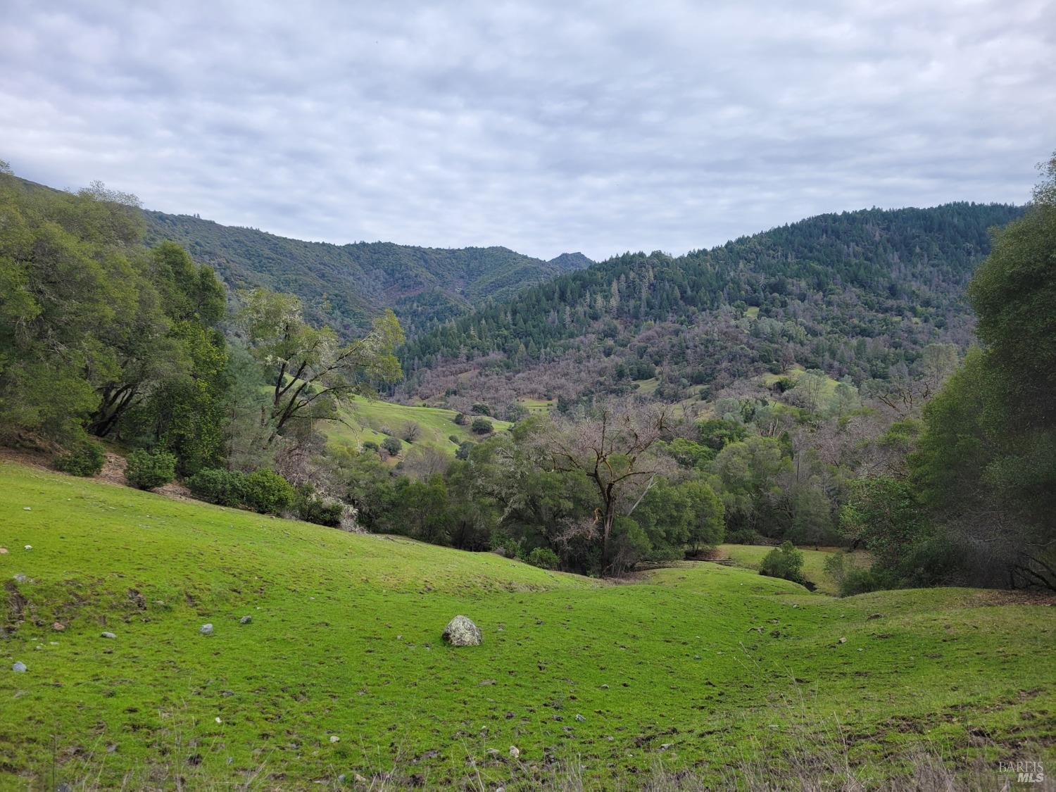 0 Covelo Road Willits, CA 95490 - Photo 12 of 40