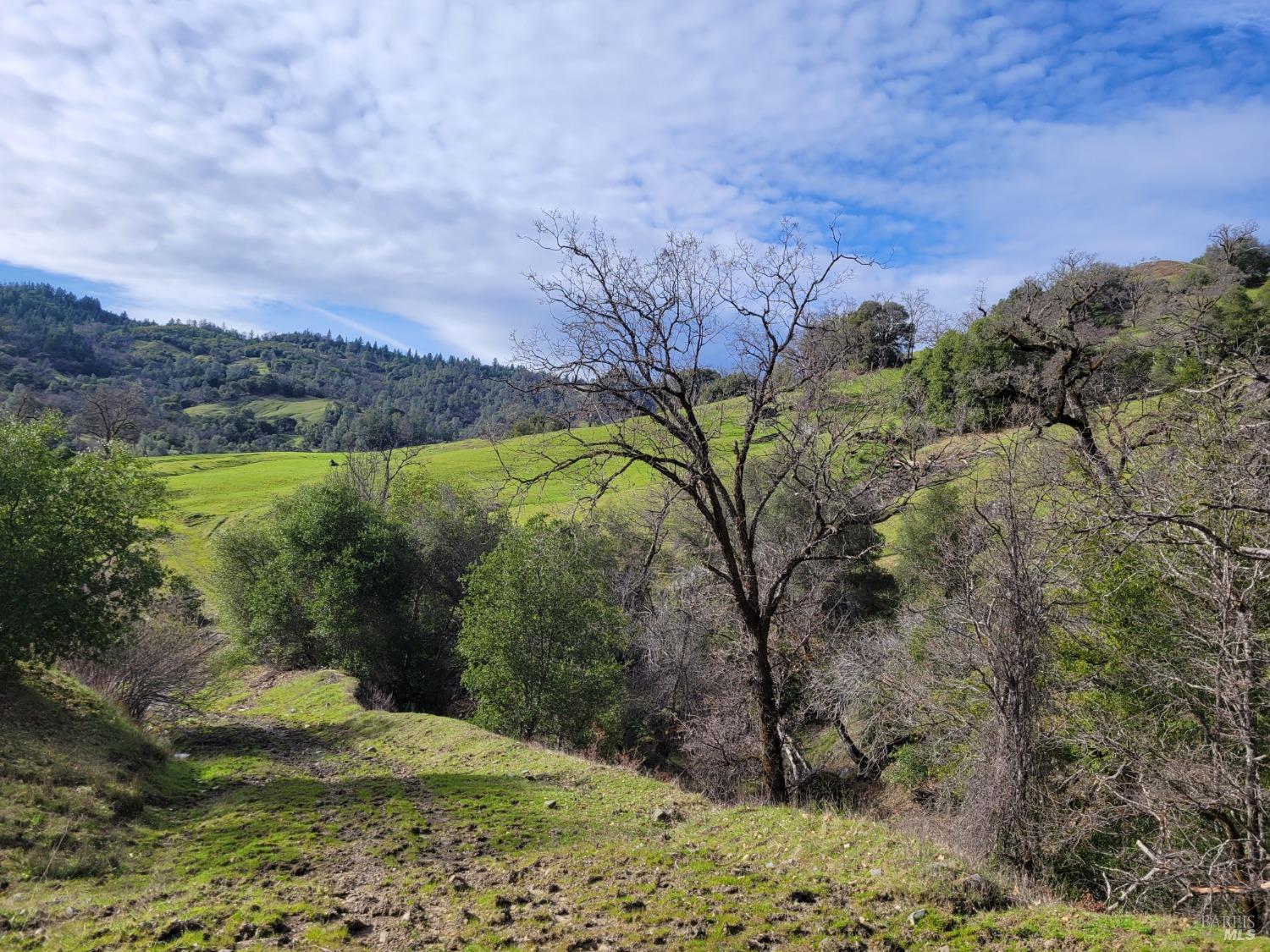 0 Covelo Road Willits, CA 95490 - Photo 19 of 40