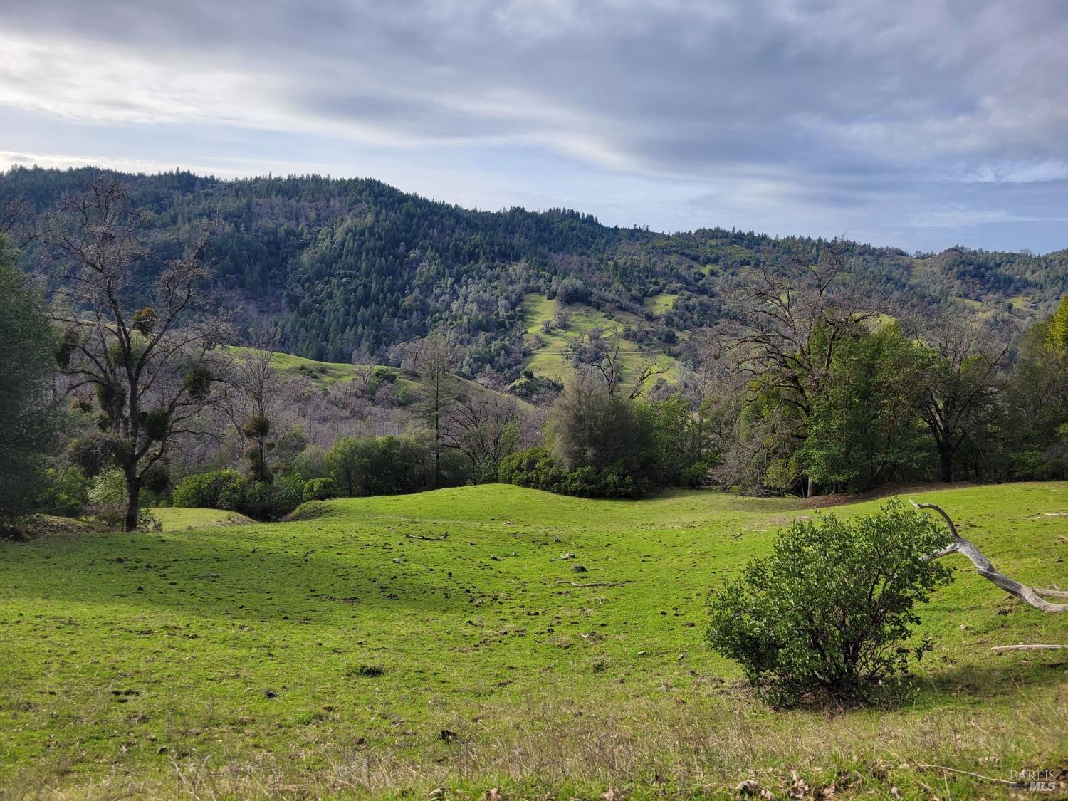 0 Covelo Road Willits, CA 95490 - Photo 2 of 40