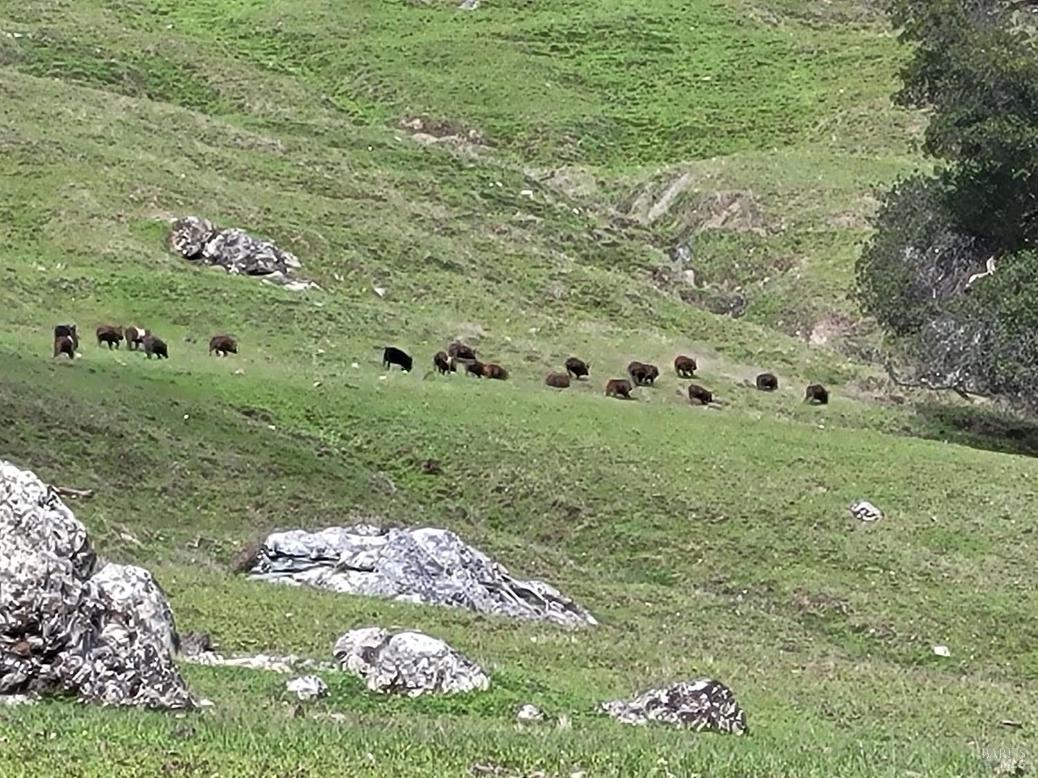 0 Covelo Road Willits, CA 95490 - Photo 23 of 40