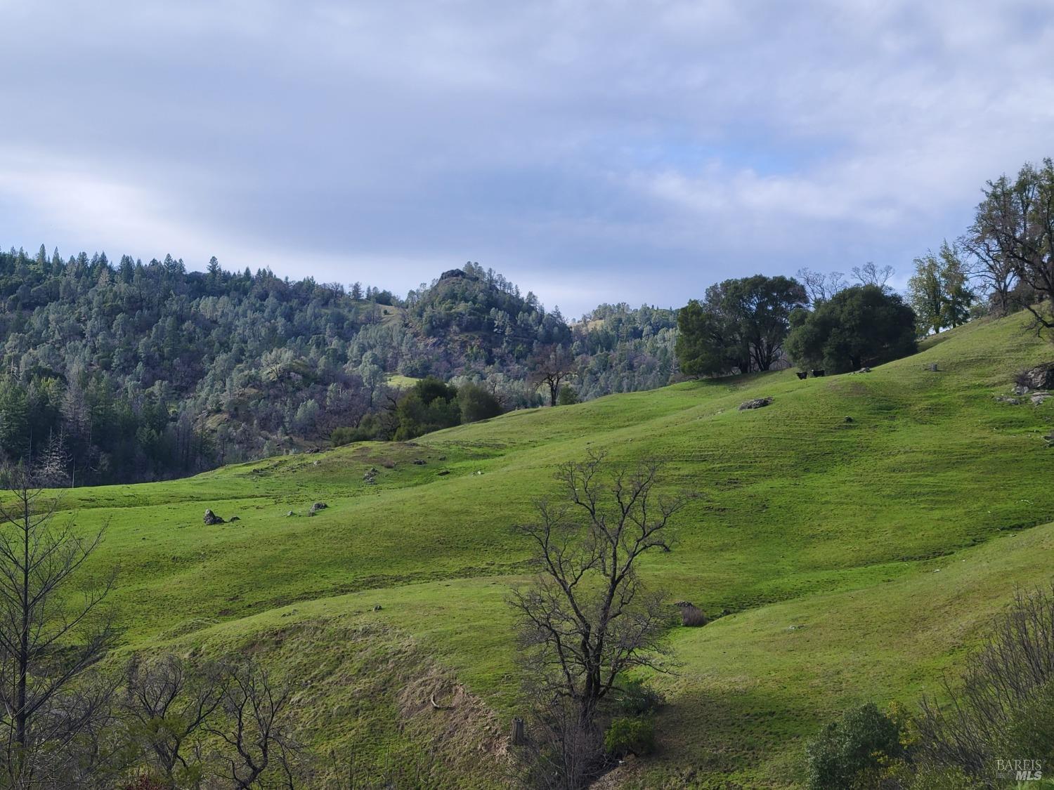 0 Covelo Road Willits, CA 95490 - Photo 24 of 40