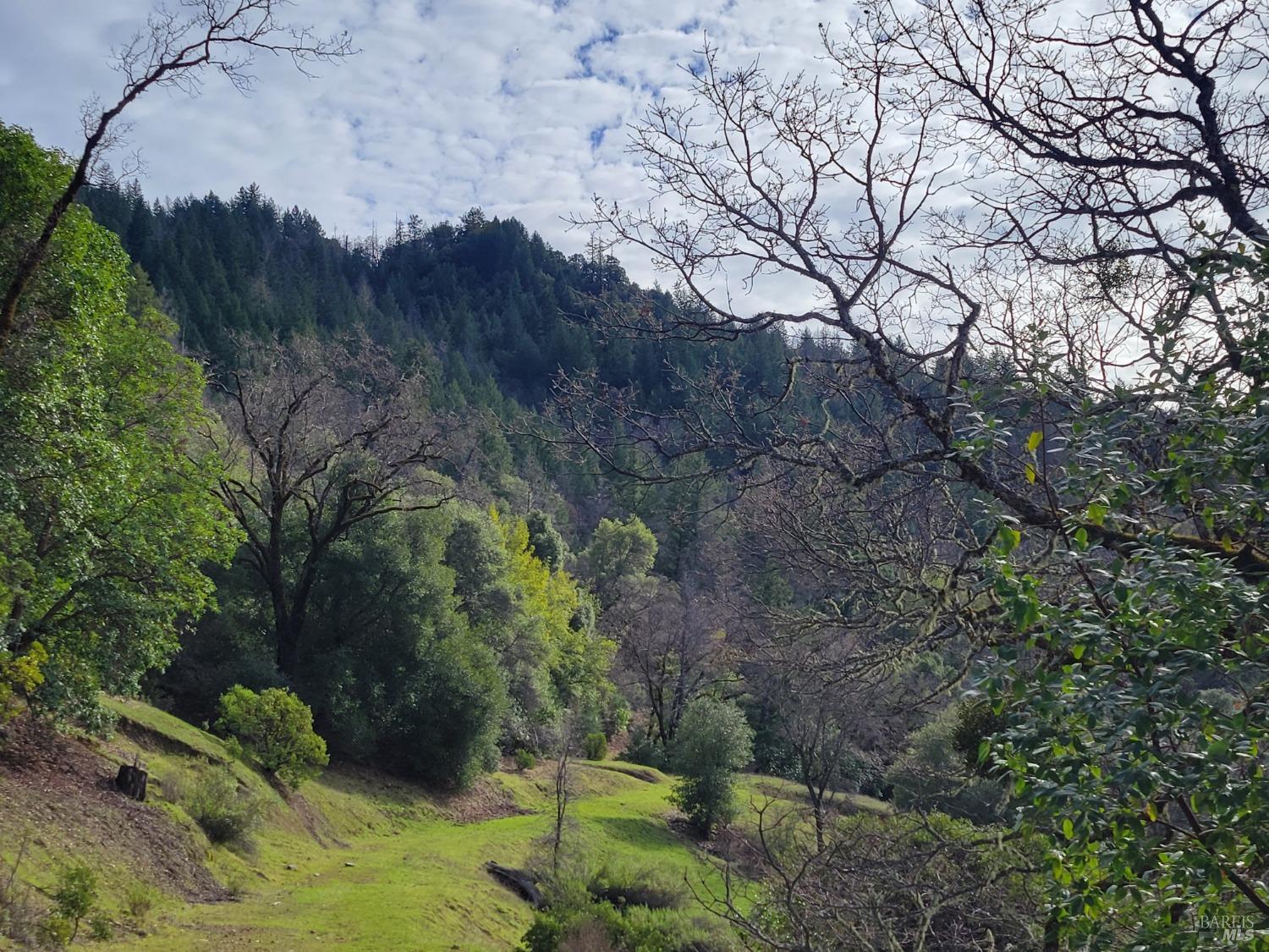 0 Covelo Road Willits, CA 95490 - Photo 25 of 40