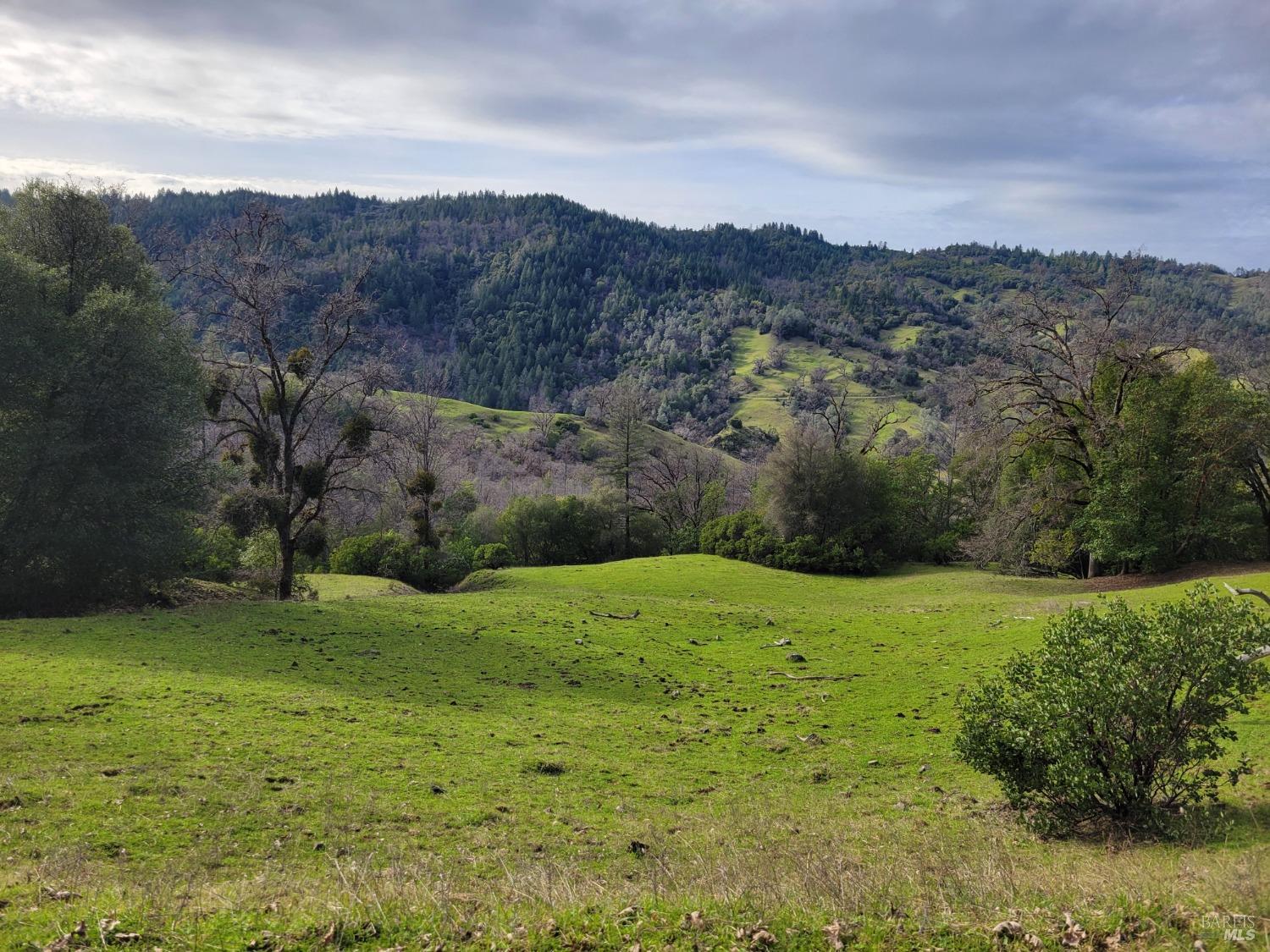 0 Covelo Road Willits, CA 95490 - Photo 26 of 40