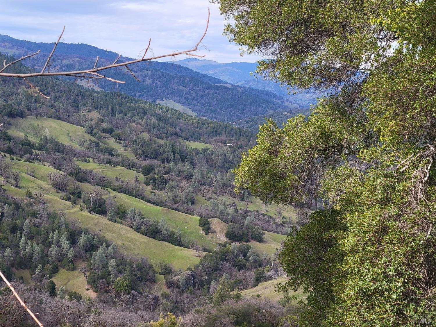 0 Covelo Road Willits, CA 95490 - Photo 29 of 40