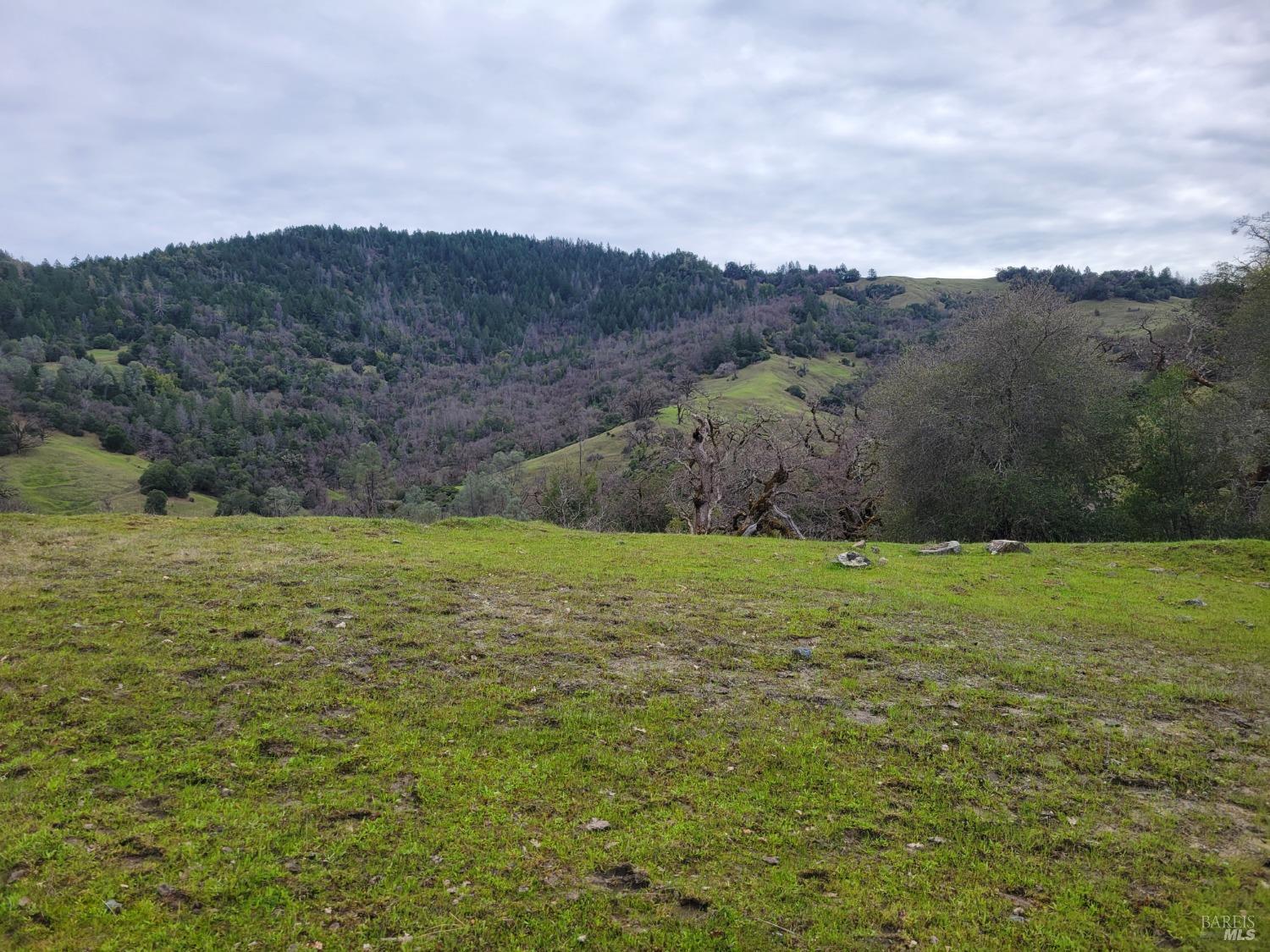 0 Covelo Road Willits, CA 95490 - Photo 3 of 40