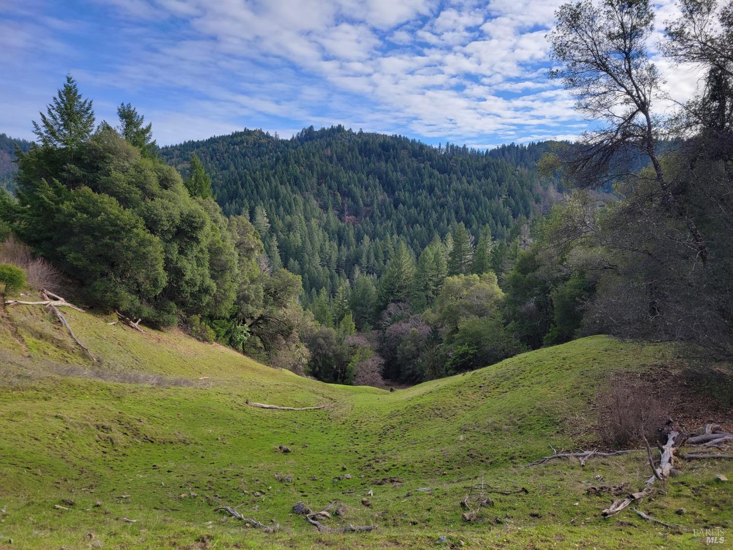 0 Covelo Road Willits, CA 95490 - Photo 31 of 40