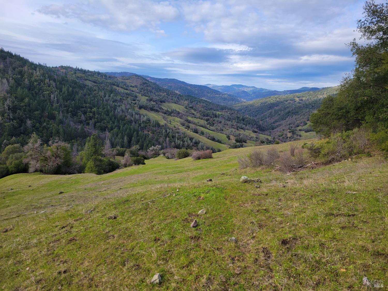 0 Covelo Road Willits, CA 95490 - Photo 32 of 40