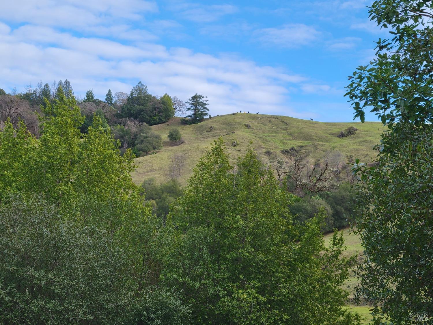 0 Covelo Road Willits, CA 95490 - Photo 33 of 40