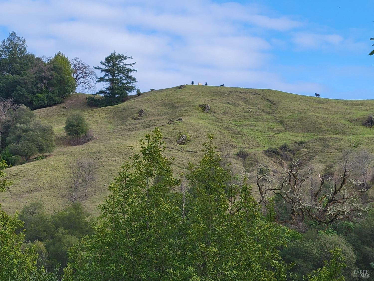 0 Covelo Road Willits, CA 95490 - Photo 34 of 40