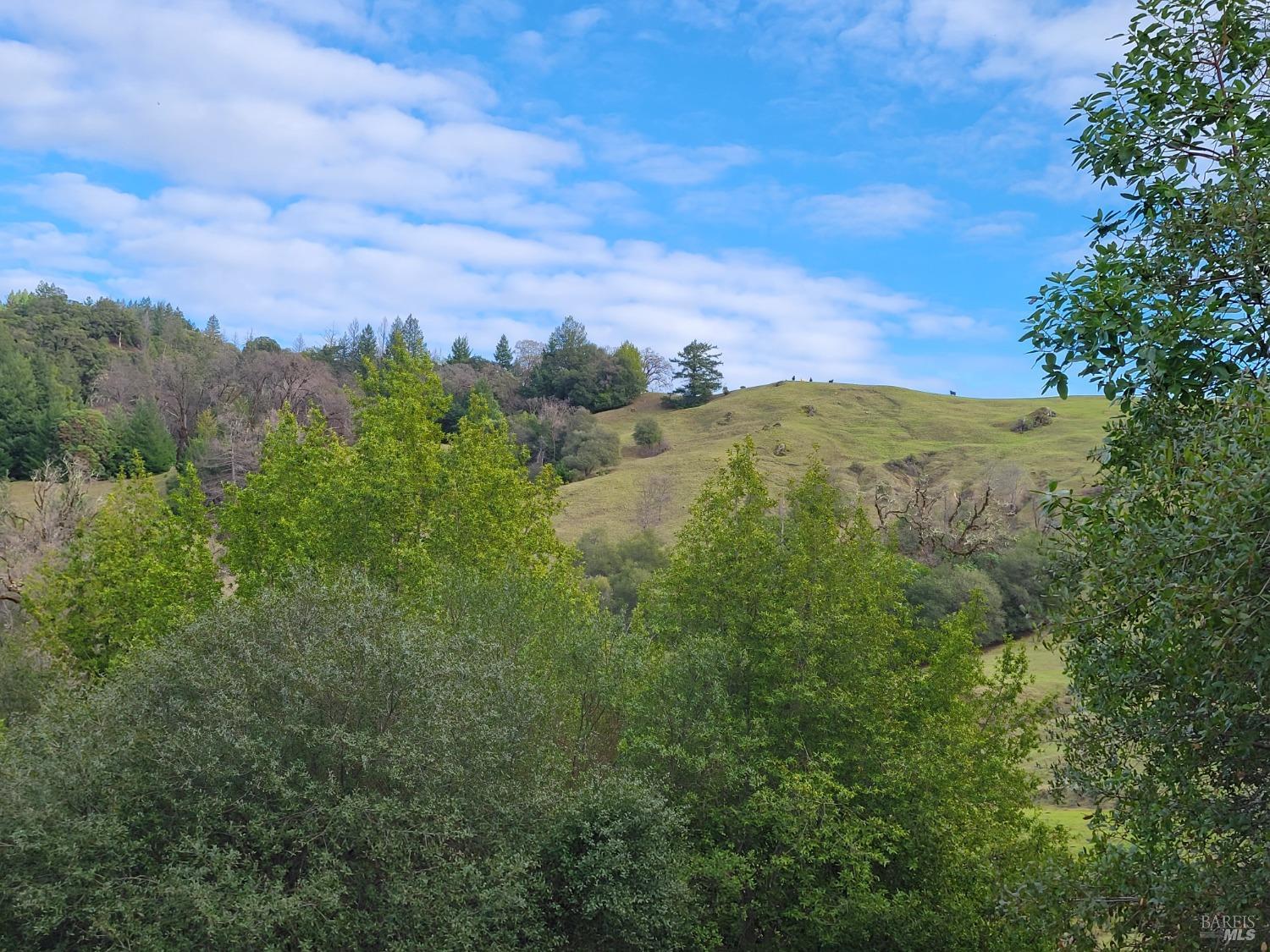 0 Covelo Road Willits, CA 95490 - Photo 35 of 40