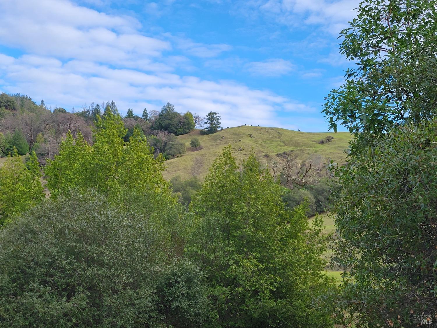 0 Covelo Road Willits, CA 95490 - Photo 36 of 40