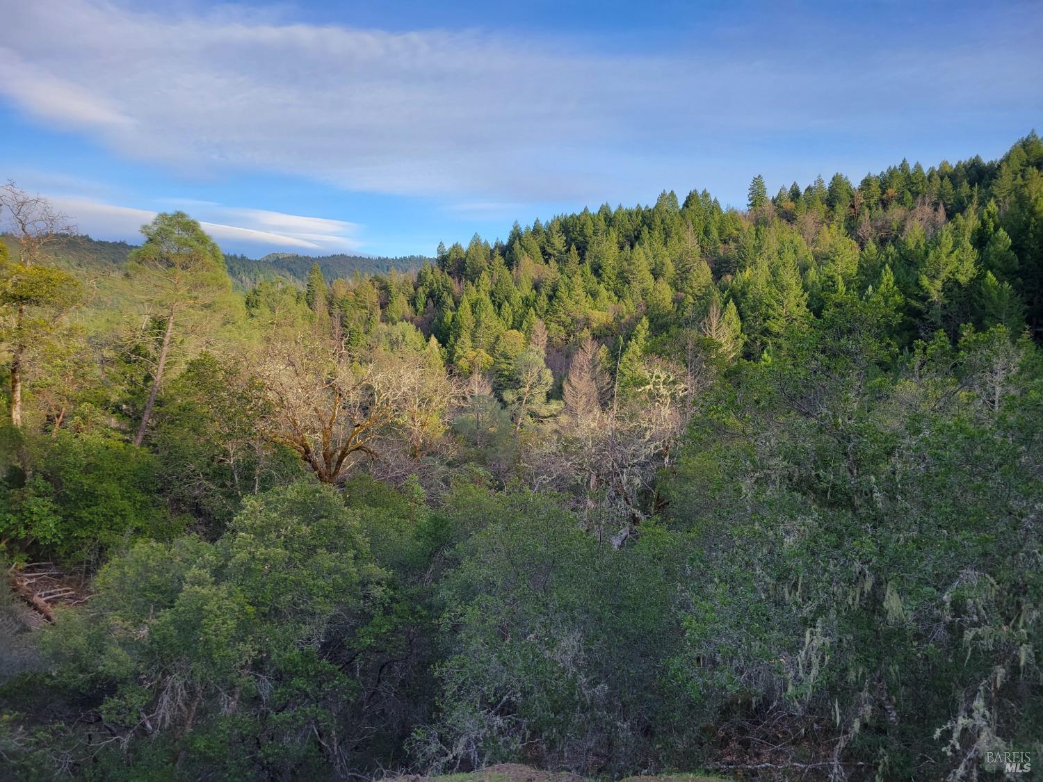 0 Covelo Road Willits, CA 95490 - Photo 39 of 40