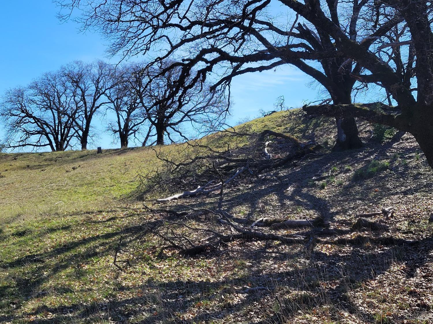 0 Covelo Road Willits, CA 95490 - Photo 5 of 40