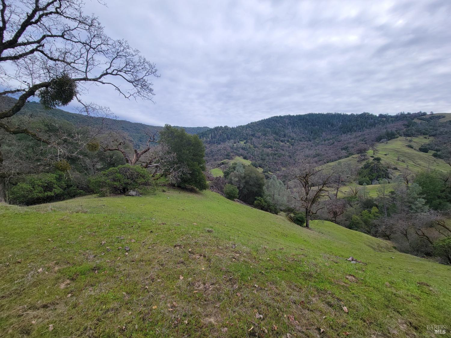 0 Covelo Road Willits, CA 95490 - Photo 7 of 40