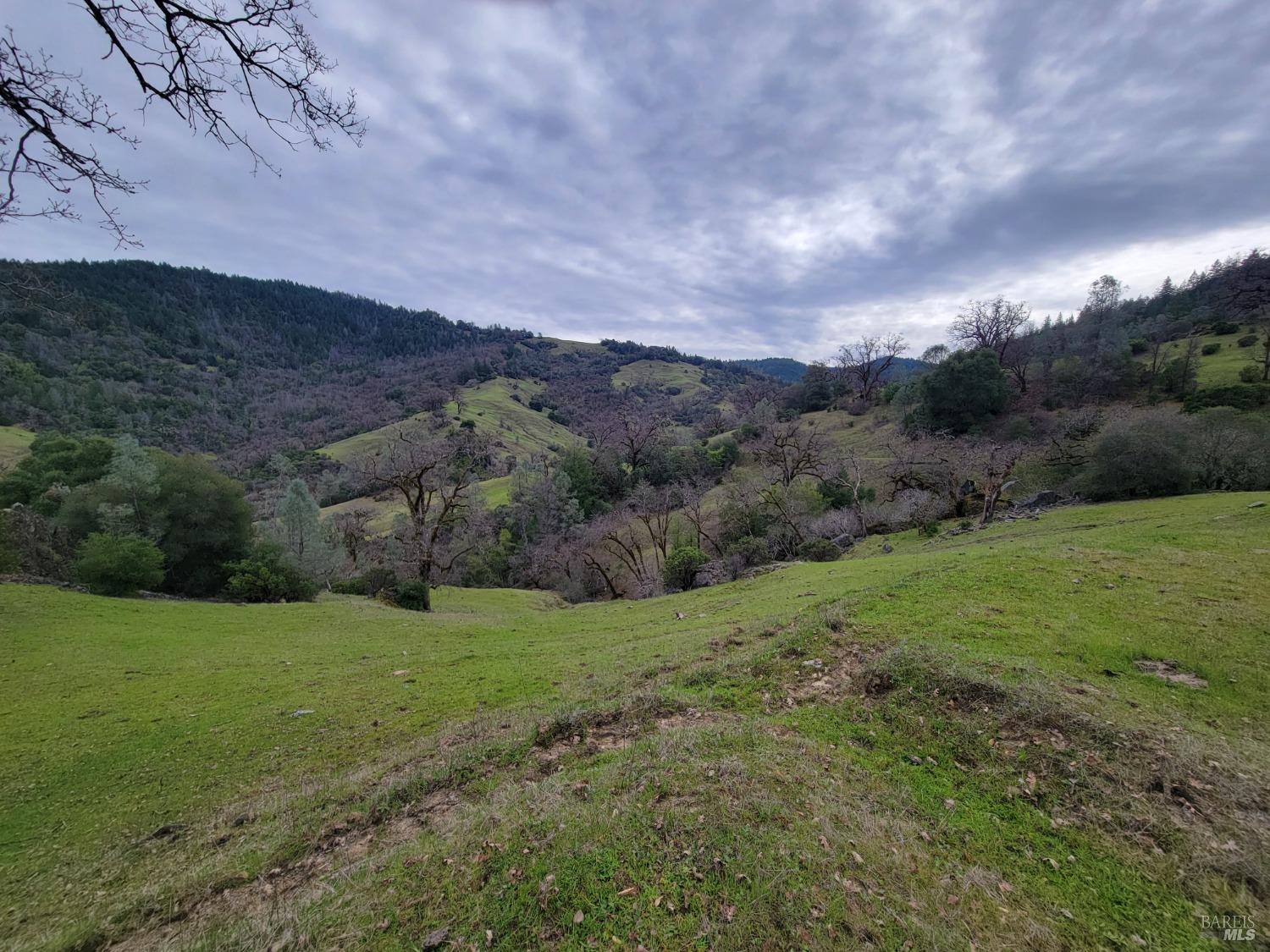 0 Covelo Road Willits, CA 95490 - Photo 8 of 40