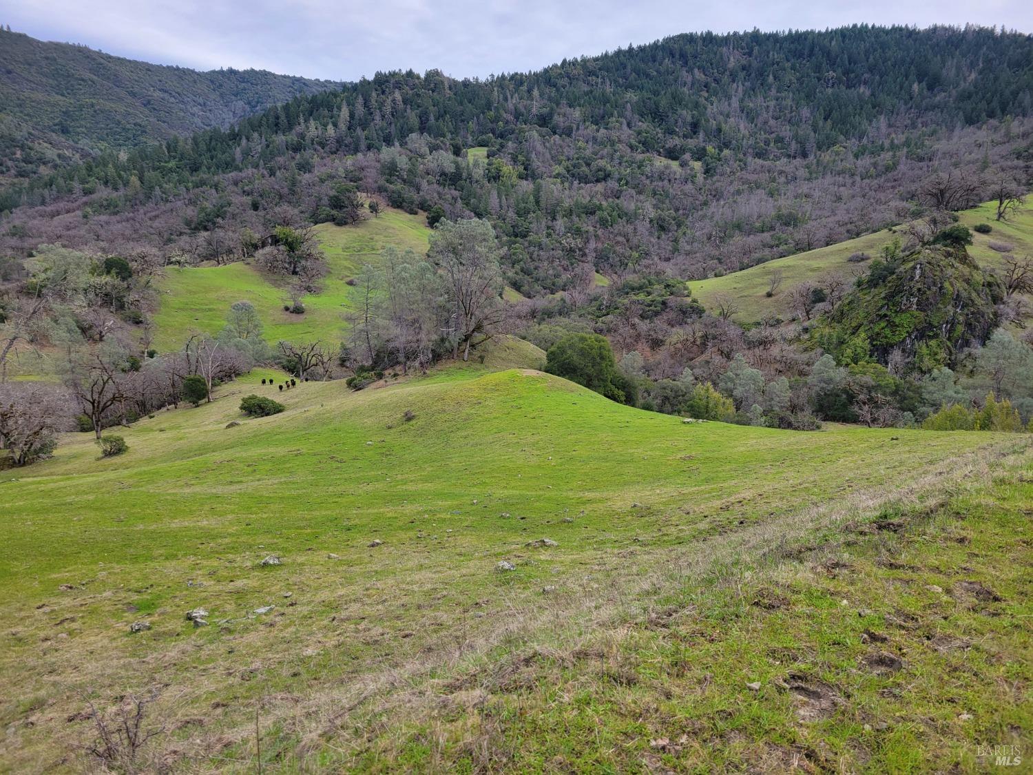 0 Covelo Road Willits, CA 95490 - Photo 9 of 40