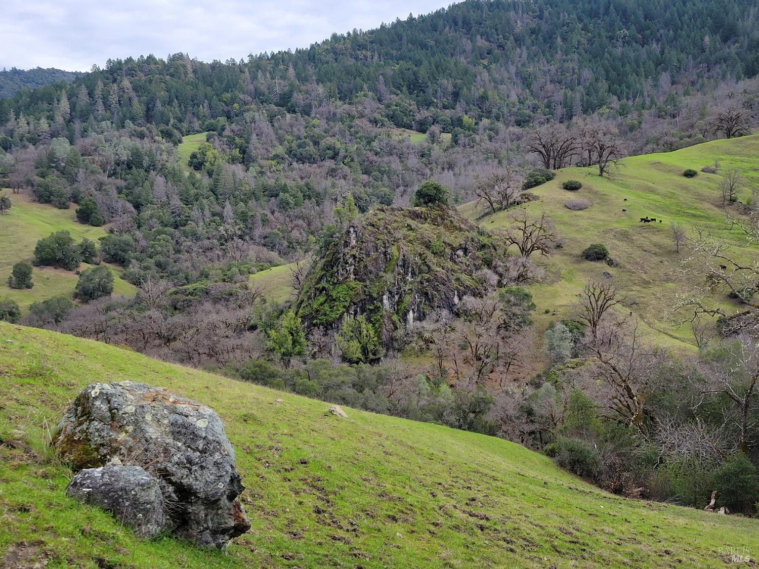 0 Covelo Road Willits, CA 95490 - Photo 10 of 40