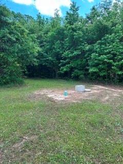 9833 Highway 175 Grand Cane, LA 71032 - Photo 19 of 19