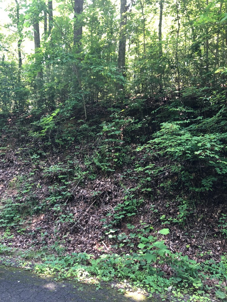 4 Black Walnut Flats Road Sevierville, TN 37862 - Photo 6 of 7